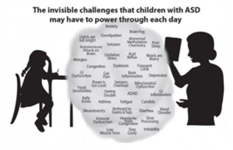 Chart of issues that children with ASD face on a daily basis