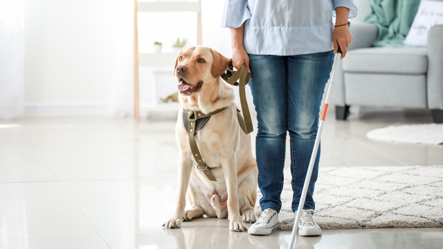 Case Study: Missing Referral is Blind Spot for DC